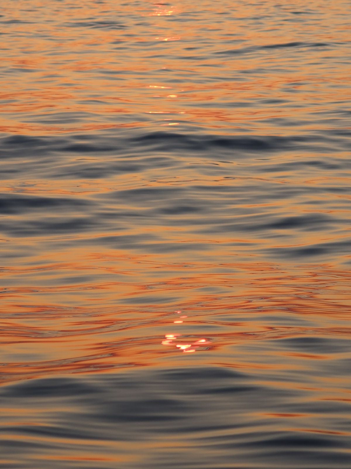 SUMMER’S ENCORE