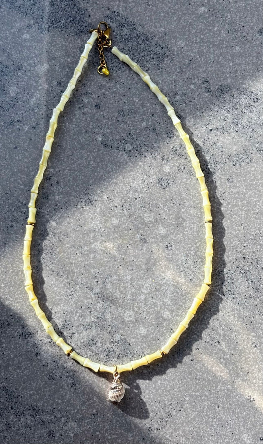Yellow shell